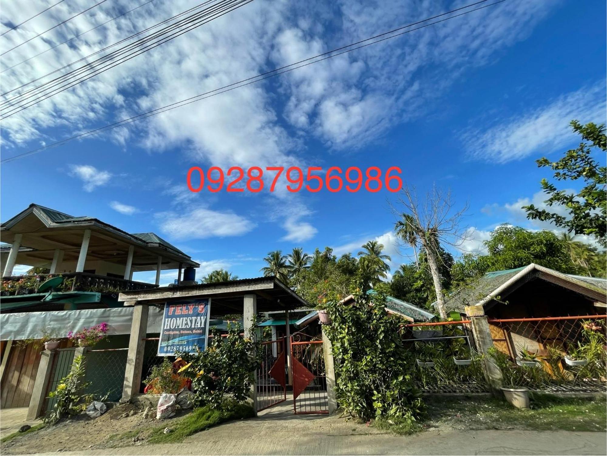 Fely'S Homestay Batuan Eksteriør bilde